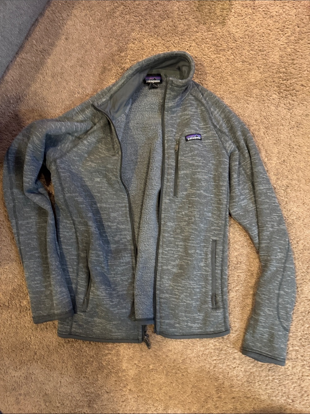 Patagonia Men’s Heather Gray Full-Zip Fleece Jacket
